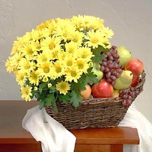 Flowers. Decorative basket of yellow chrysanthemums  and fruits: apples, oranges, pears, grapes.